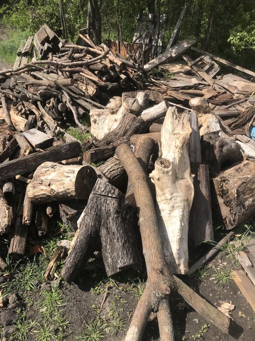 Продам дрова  разных  сортов!