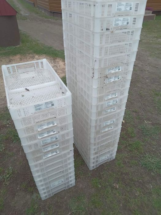 Ящики для малини/лохини/клубники