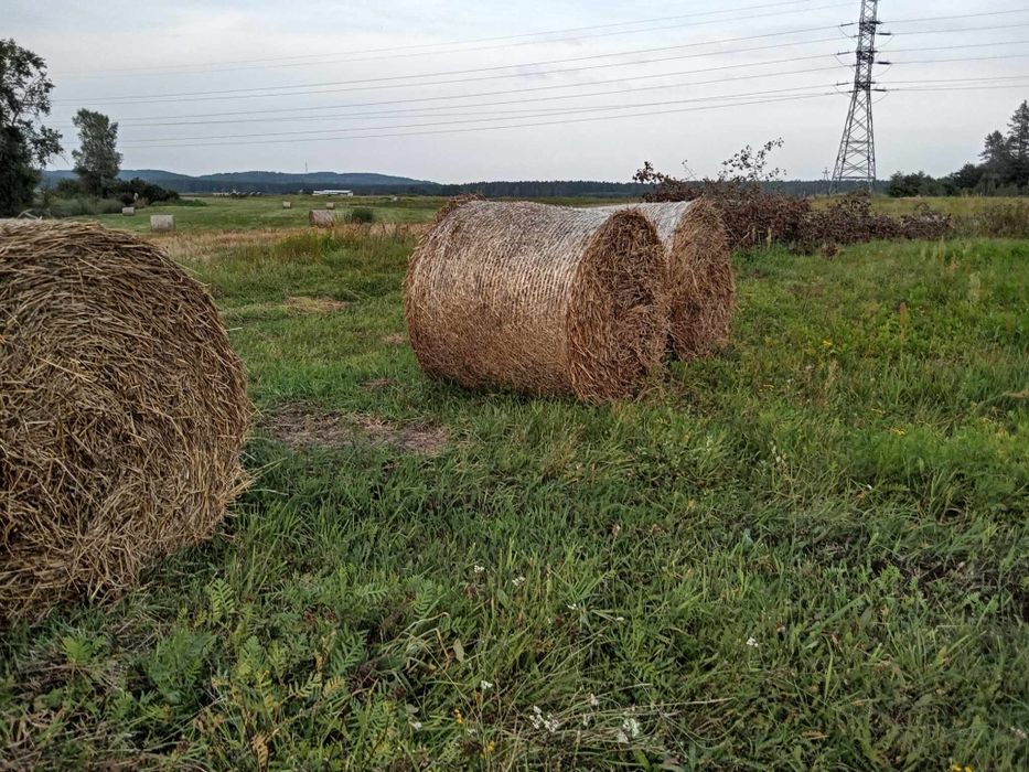 Słoma i siano z pod dachu. Możliwość transportu.