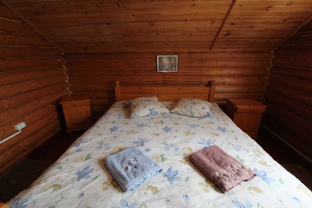 відпочинок у Карпатах