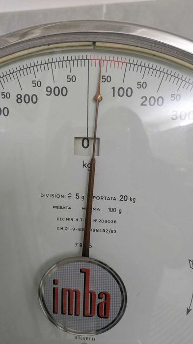 Folhas de Louro Secas Naturalmente - Indicadas para Cozinhar