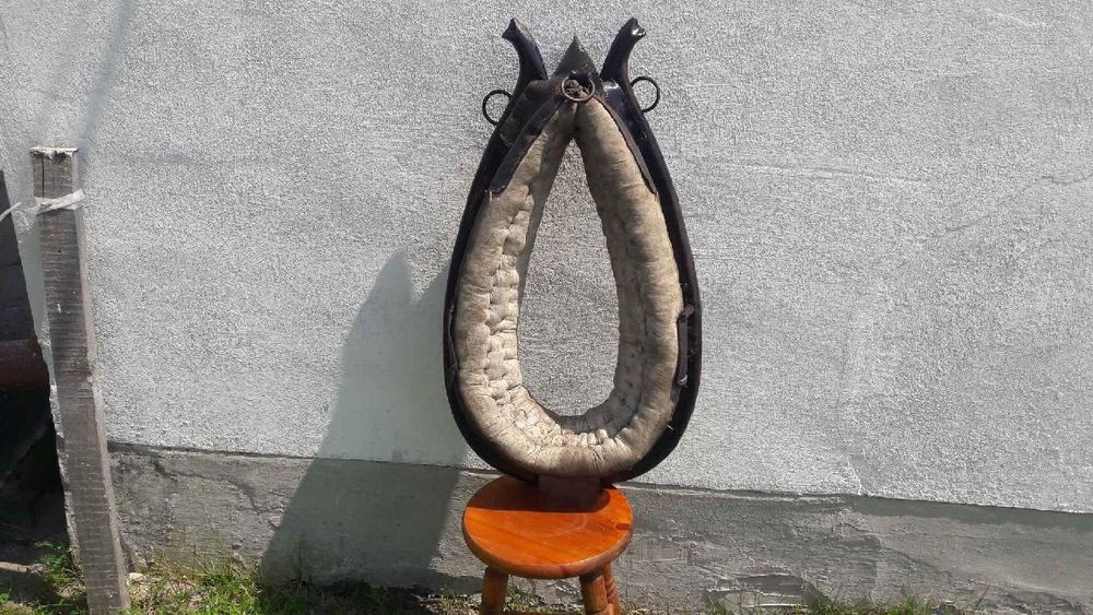 chomąto homąto dla konia homonto