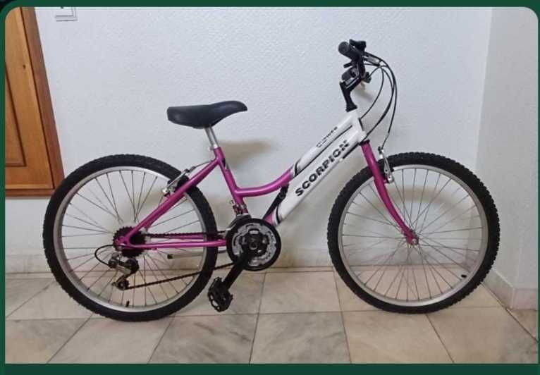 Bicicleta roda 24