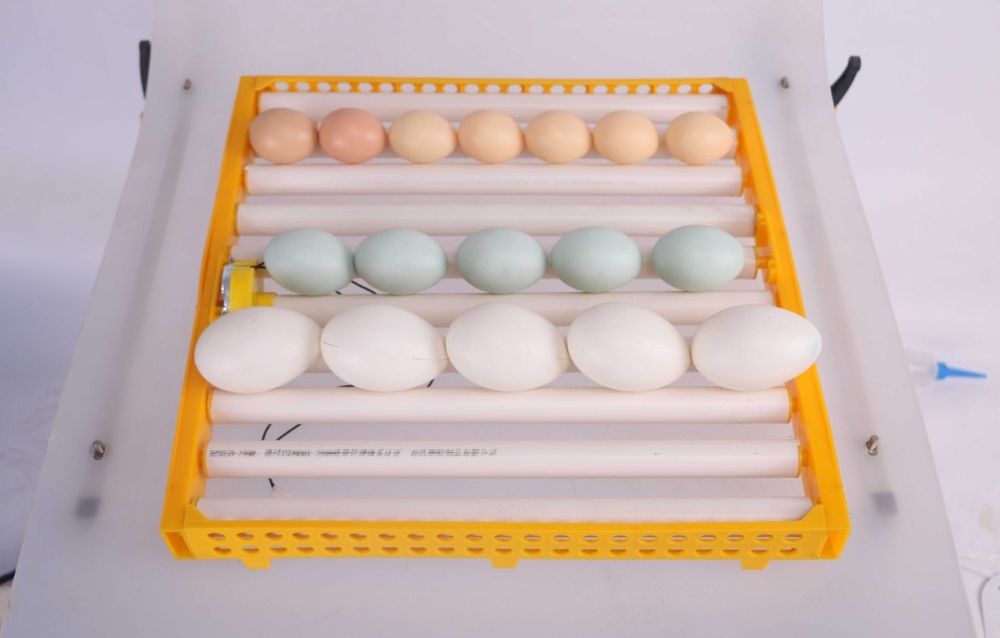 Chocadeira automática