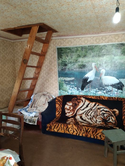 Продам дачу Солоницівка