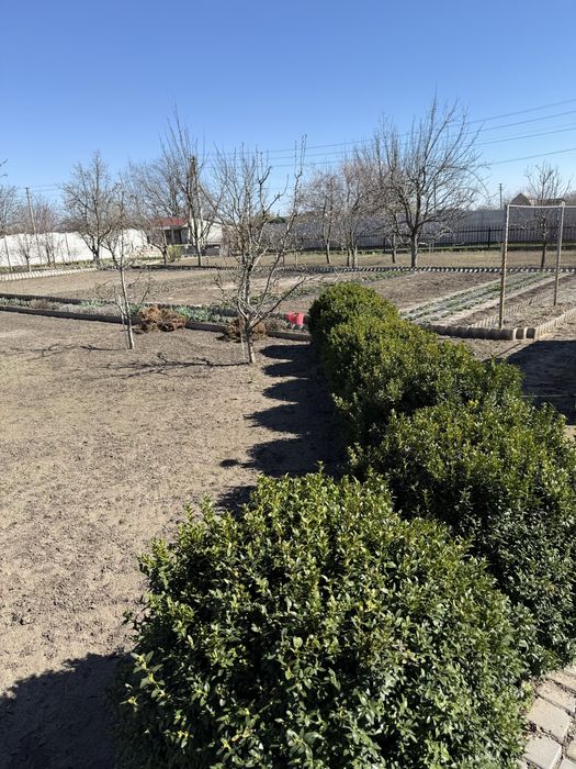 Продам дачу 24 сотки