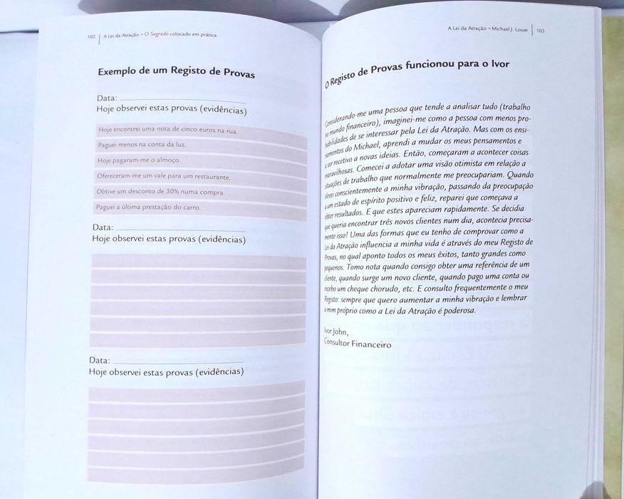 A Lei da Atração - Michael J. Losier