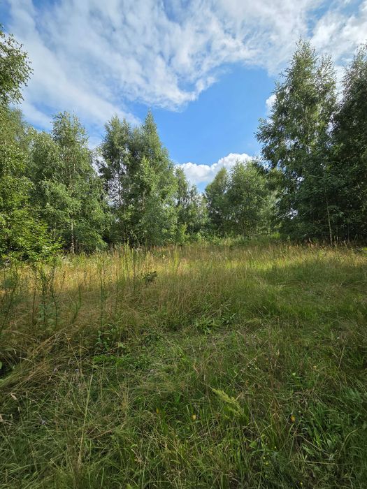 Działka budowlana 1286 m² z WZ — Lasowiec k. Mrągowa