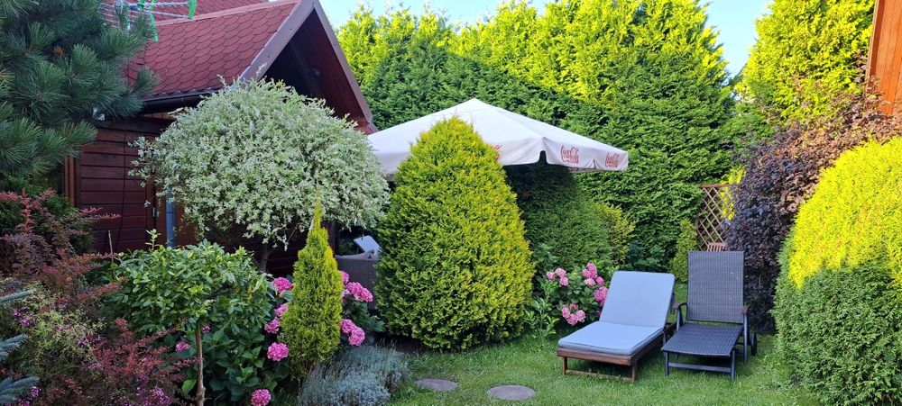 Domki nad morzem z ogródkami 600m od plaży w Ostrowie kolo Karwi