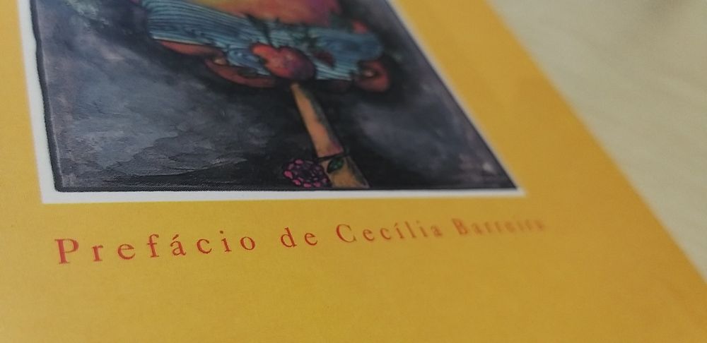 Vozes de Uma Miragem