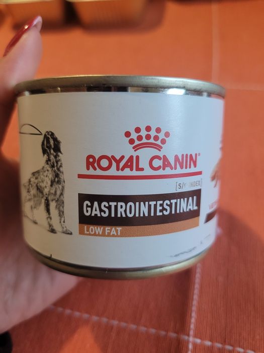 Karma dla psów Royal Canin Gastrointestinal