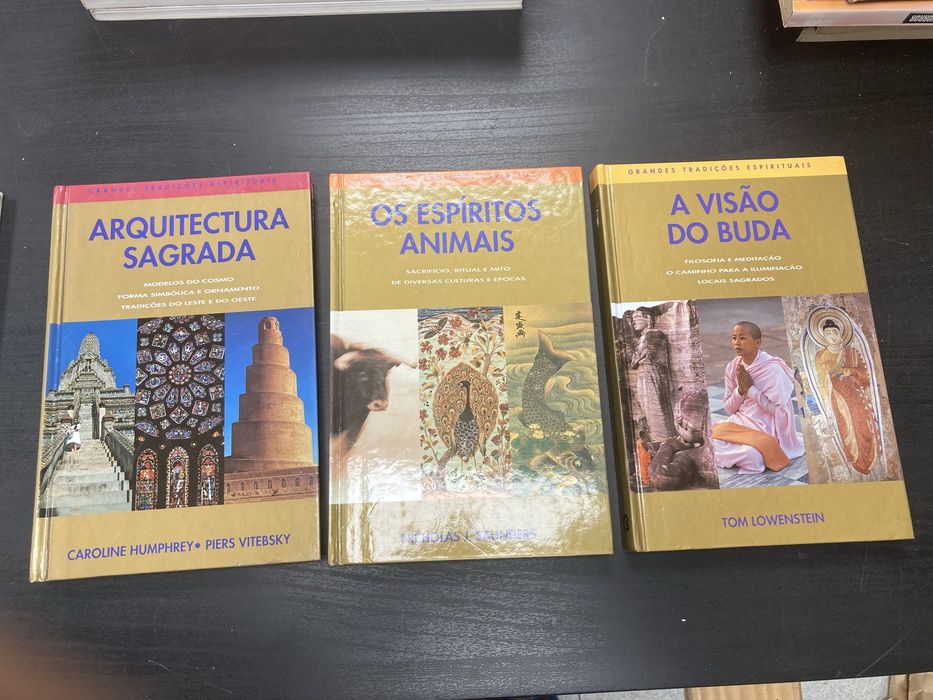 Livro Bíblia O Livro dos Livros Nº1, Expresso
