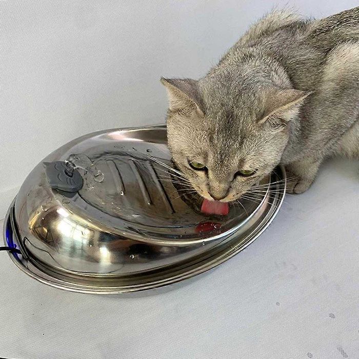 Fontanna dla kota,  automatyczny dozownik wody pitnej