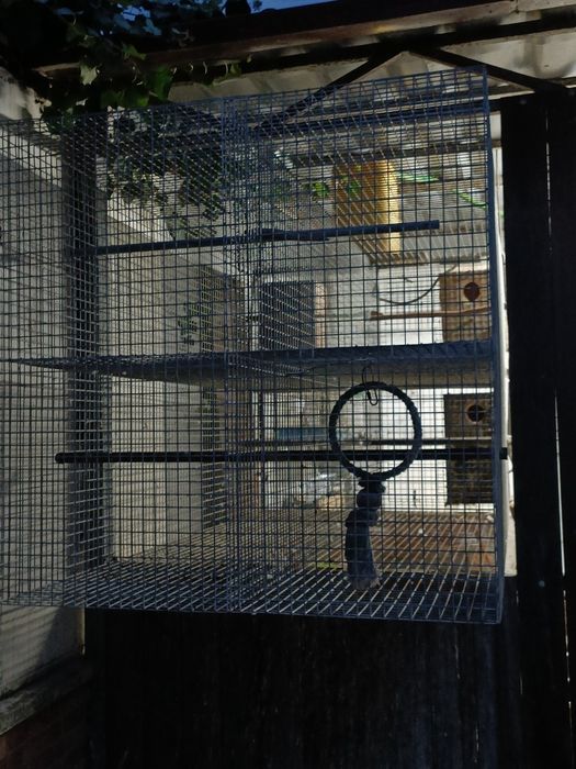 Viveiro/ gaiola pássaros