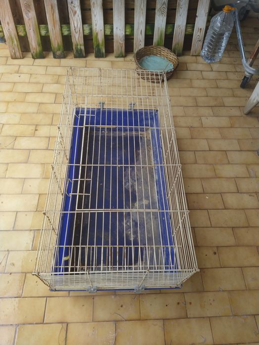 Gaiola para Roedores