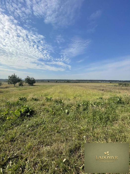 Продаж / Земля під інд. будівництво / Центральна, Новомильськ
