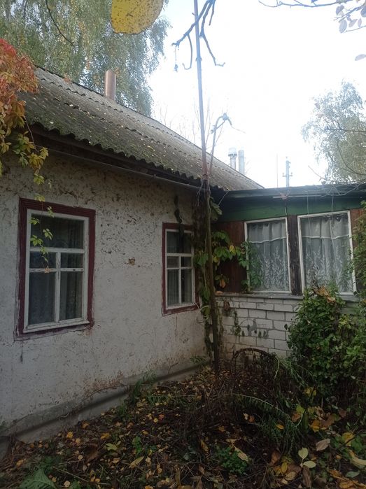 Газифікований будинок в селі Олишівка. Вода в будинку. БАНЯ.