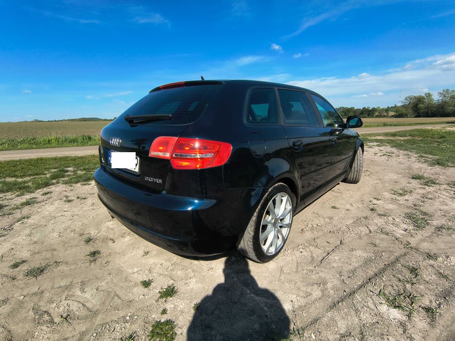 Audi A3 8P 2.0TDI