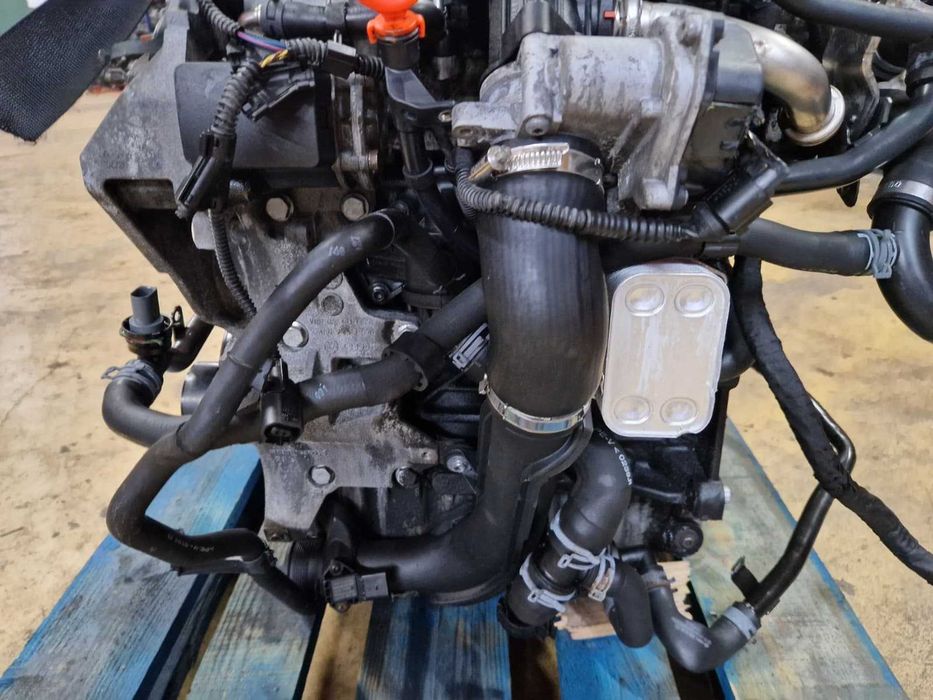 Motor usado CAY VW GOLF VI 6 1.6 TDI 105CV CAYC 3 Tubos SEAT AUDI