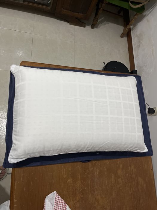 Almofada Molaflex Brasilia 40x60