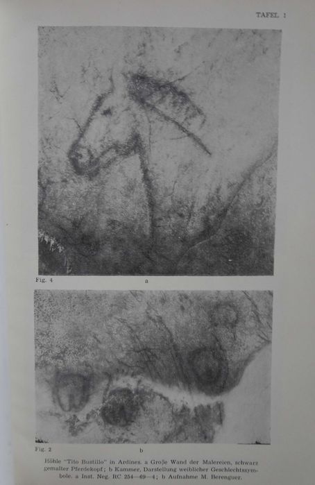 Las Pinturas Prehistoricas de La Cueva Tito Bustillo (Ribadesella)