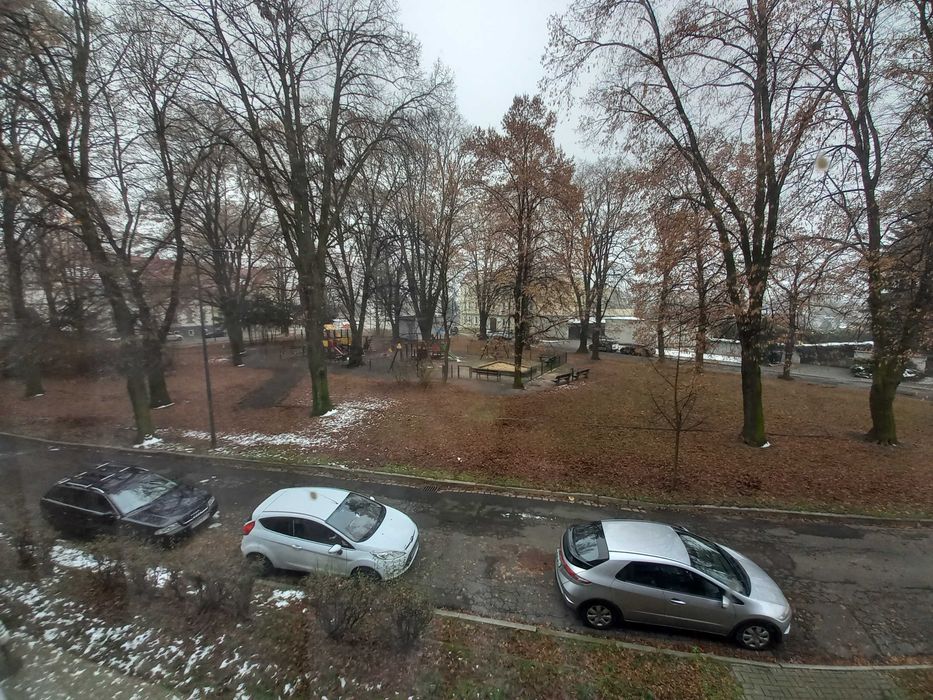 Zdjęcie 8