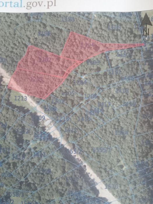 Sprzedam las w Domaradzu