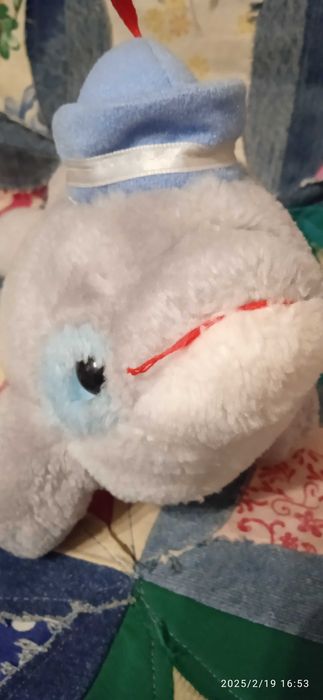 Заиц, дельфин , серые