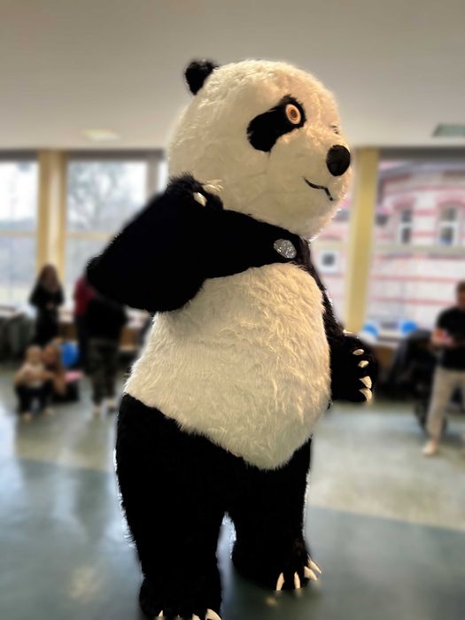 Atrakcja na imprezę Maskotka Ogromny Miś Panda Animator