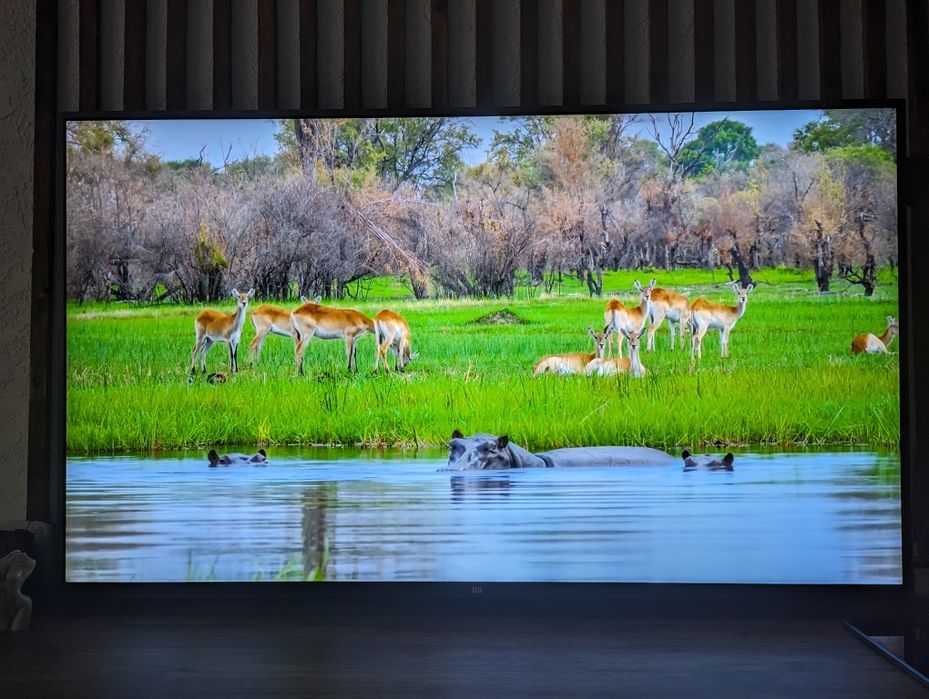 Телевизор Xiaomi Mi TV 3s pro Android 55 дюймов 4K