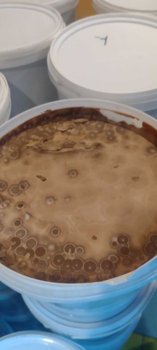 Продам какао масло  ,молочний шоколад  Barry Calebout какао терте 100%