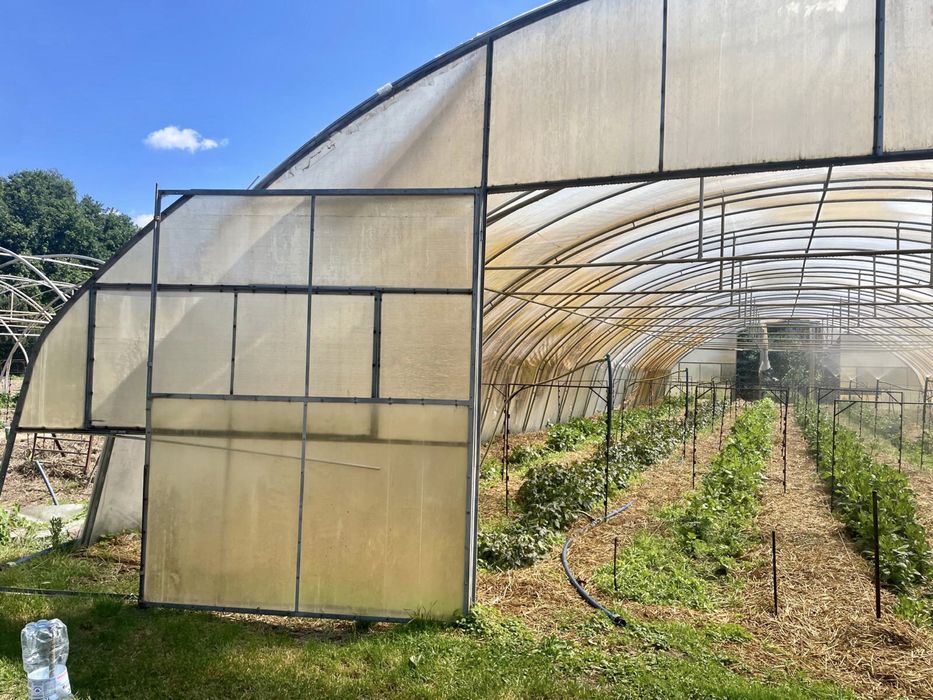 Namiot tunel foliowy ocynkowany 10 x 30 m Wrocław