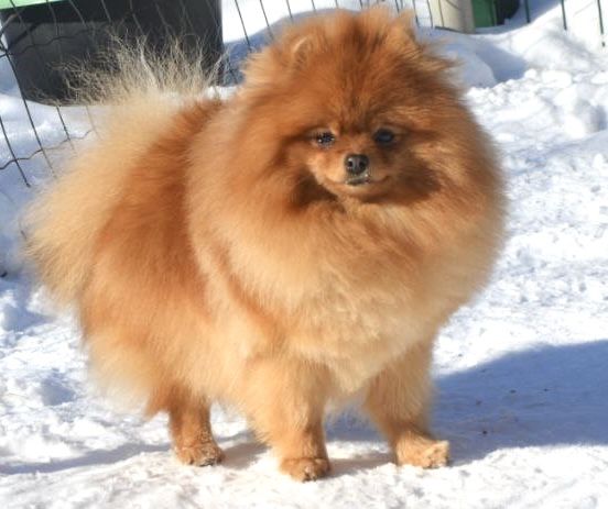 Дівчинка 1 рік ….