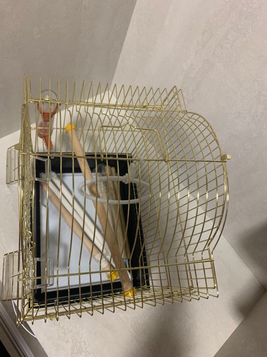 Клітка для папуги