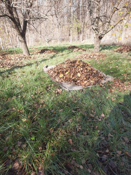 Робітник на дому або дачі.