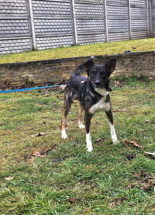 Хлопчик шукає родину