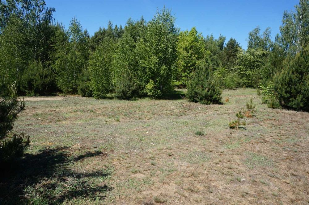 Działka budowlana 792 m2 - Katarzynów gm. Ozorków