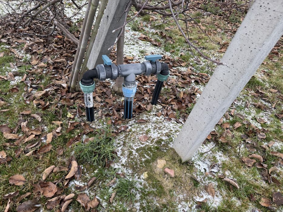 Sad jabłoniowy - Grzymkowice