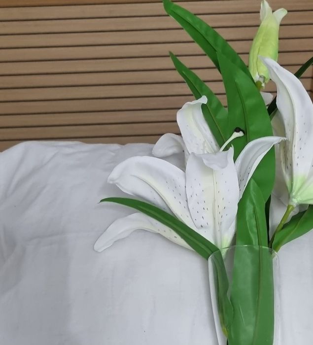 Estética para homem e mulher