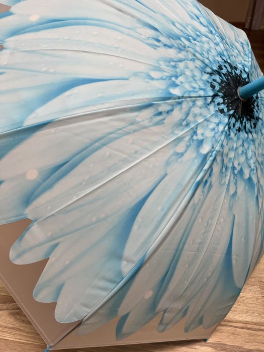 Парасолька