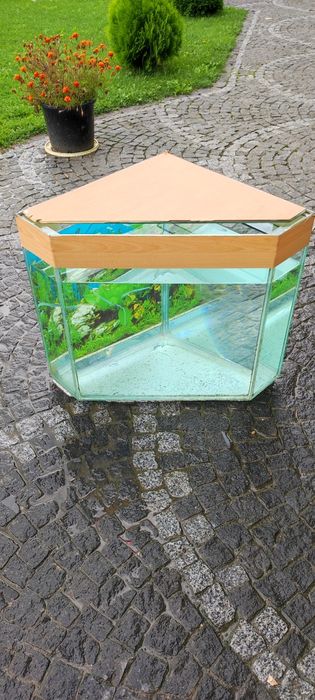 Акваріум кутовий  комплект  з тумбочкою  70l