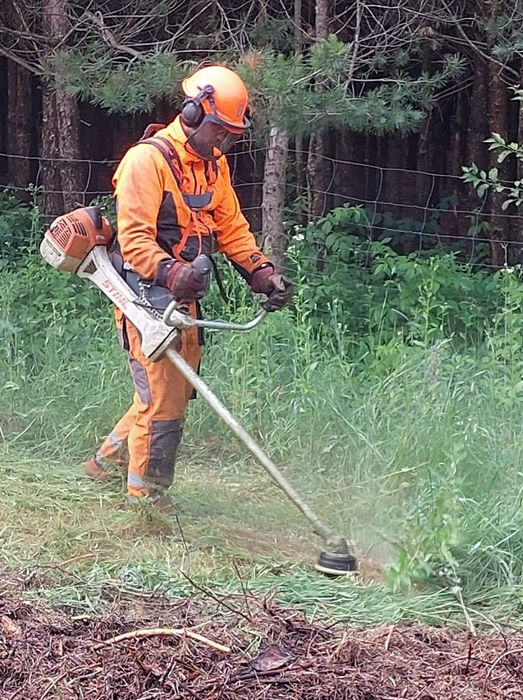 Wycinka drzew, koszenie trawy, rębak, wycinanie krzaków, podcinanie ga