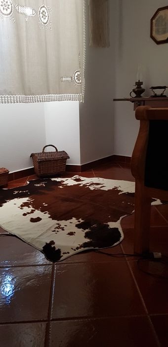 Moradia T2. PAMPILHOSA DA SERRA