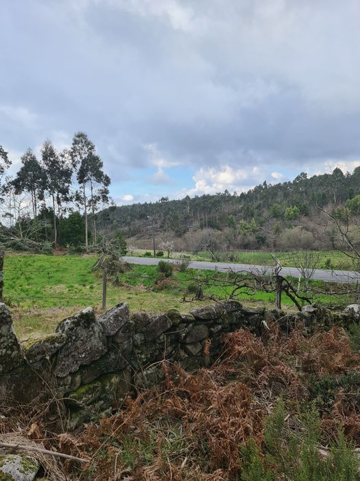 Quinta Agrícola a 5 minutos da A25