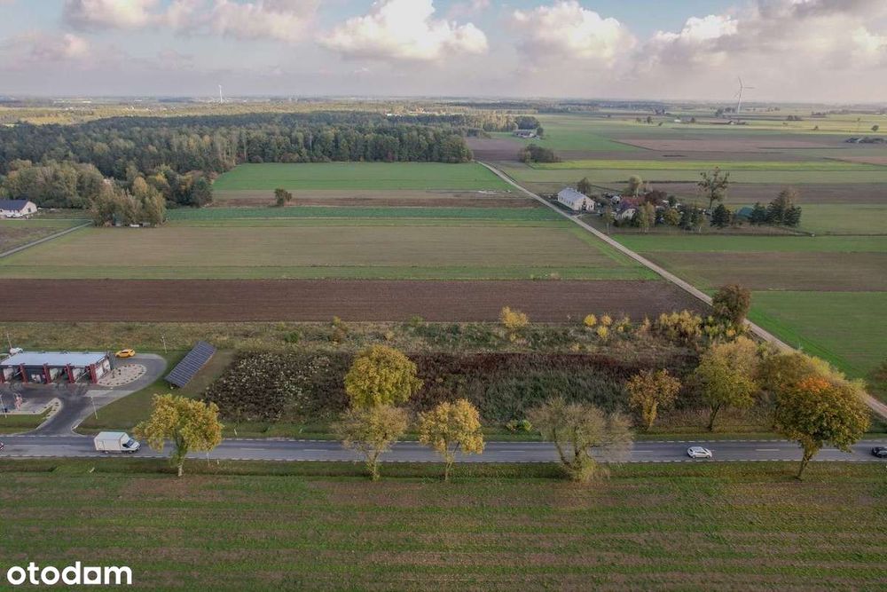 Sprzedam działkę przy obwodnicy Sierpca DK560 - Więcej