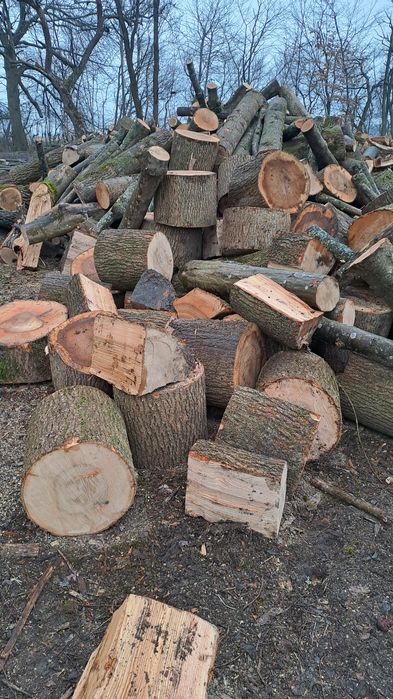 Дрова твердої породи