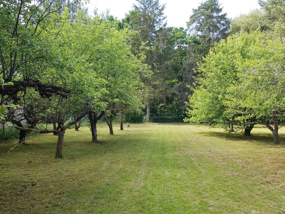sprzedam działkę - Widok 2