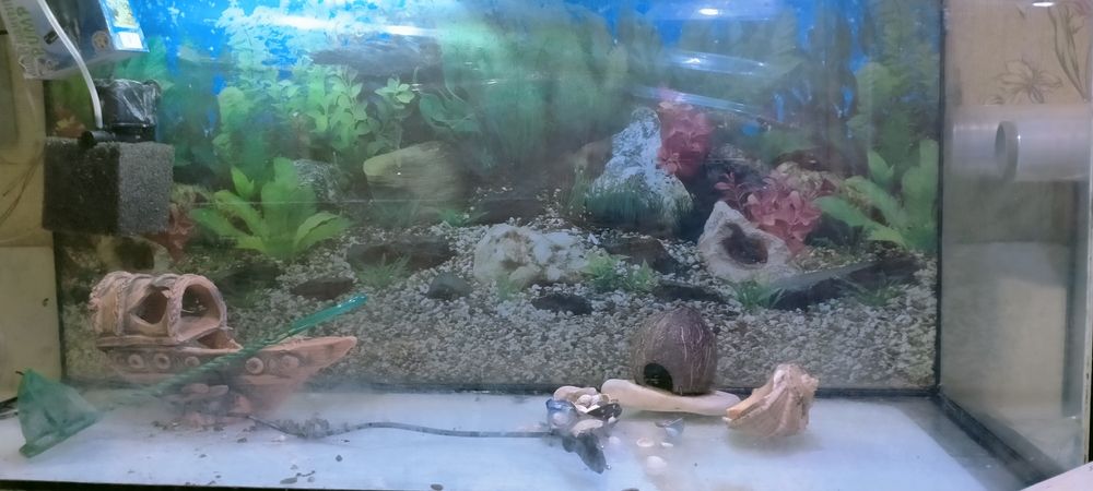 Продам Аквариум 200л