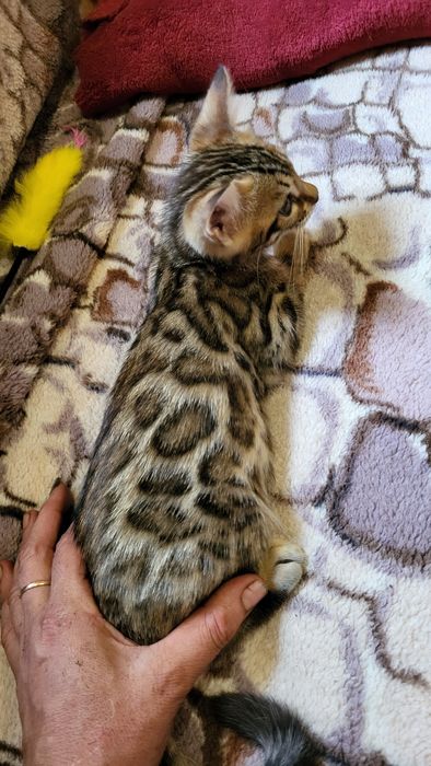 Девочка с документами.