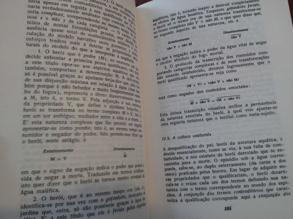 Análise estrutural da narrativa